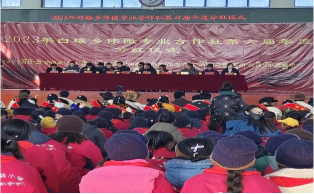 白雄乡伟微专业合作社举行分红仪式.png