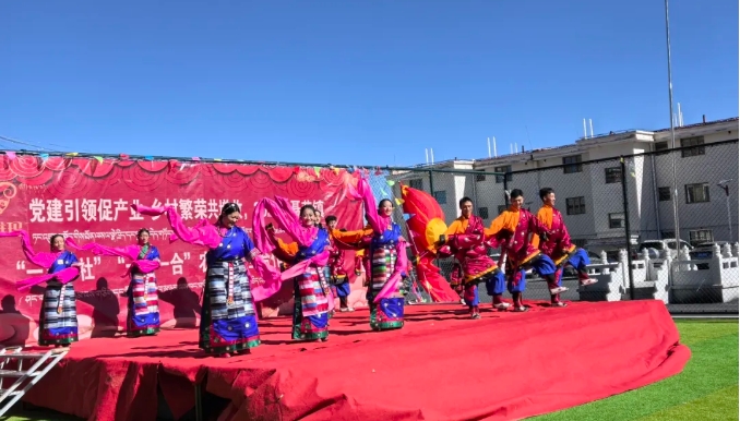 聂荣县聂荣镇文化综合服务中心举办文艺汇演.png