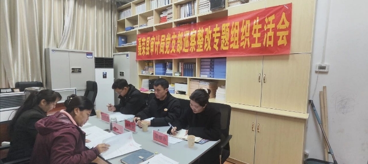 聂荣县审计局党支部召开巡察整改专题组织生活会.png