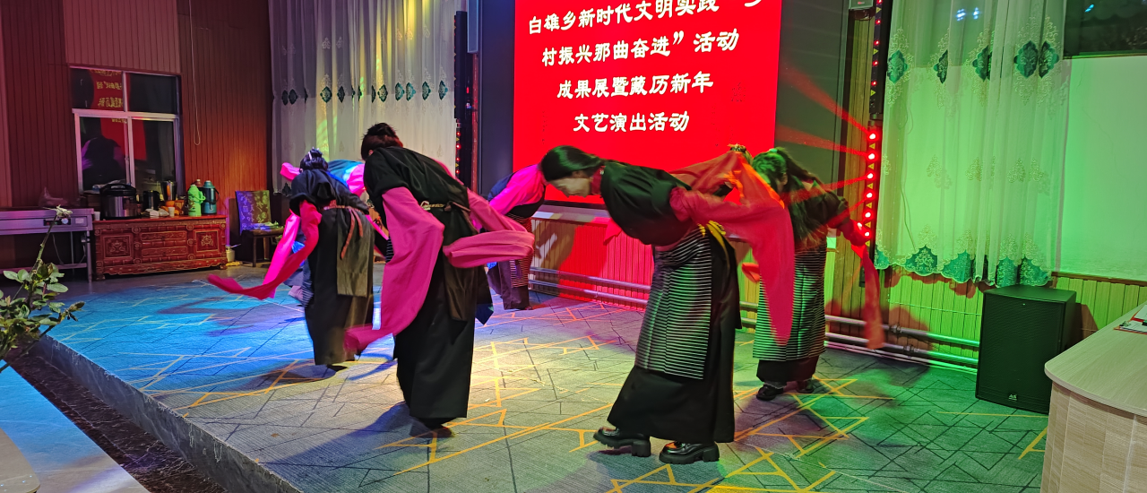 白雄乡举行“乡村振兴 那曲奋进”活动成果展.png